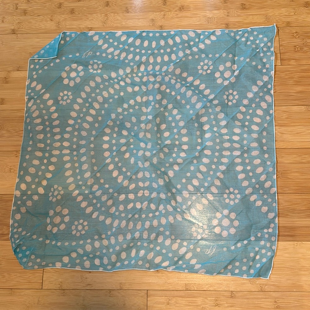 Free People Blue and White Scarf